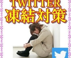 ツイッター凍結対策